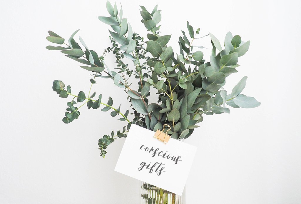 Conscious Grooming Gift Guide