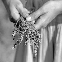 organic aromatherapy