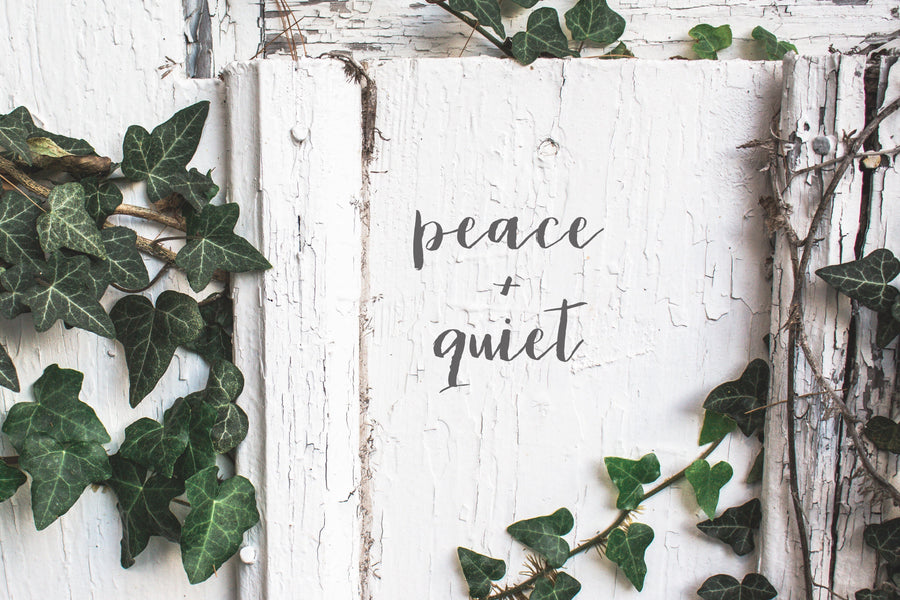 Peace and Quiet Gift Guide