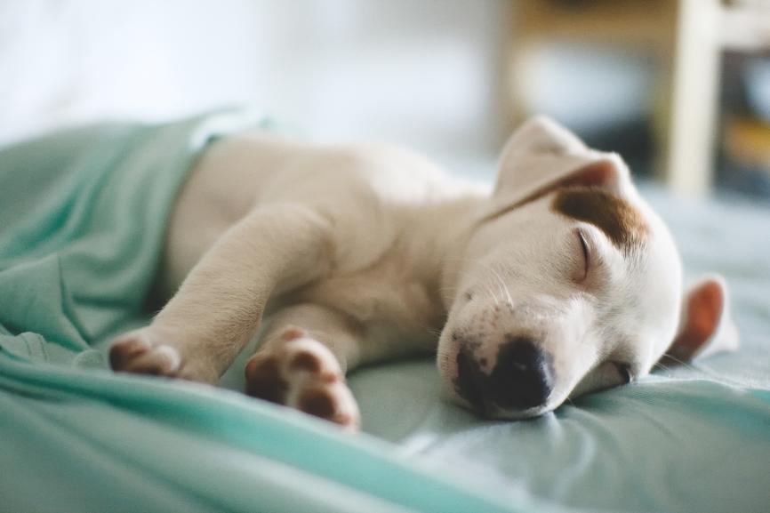 Benefits of Sleep