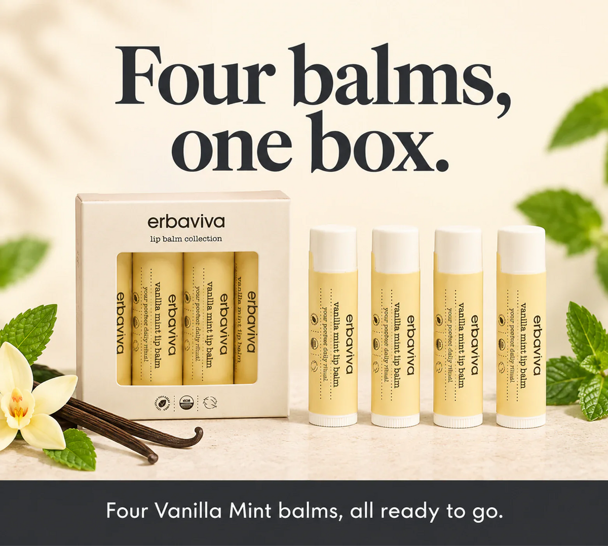 Lip Balm Vanilla Mint 4PK product gallery artwork, image 2 of 6