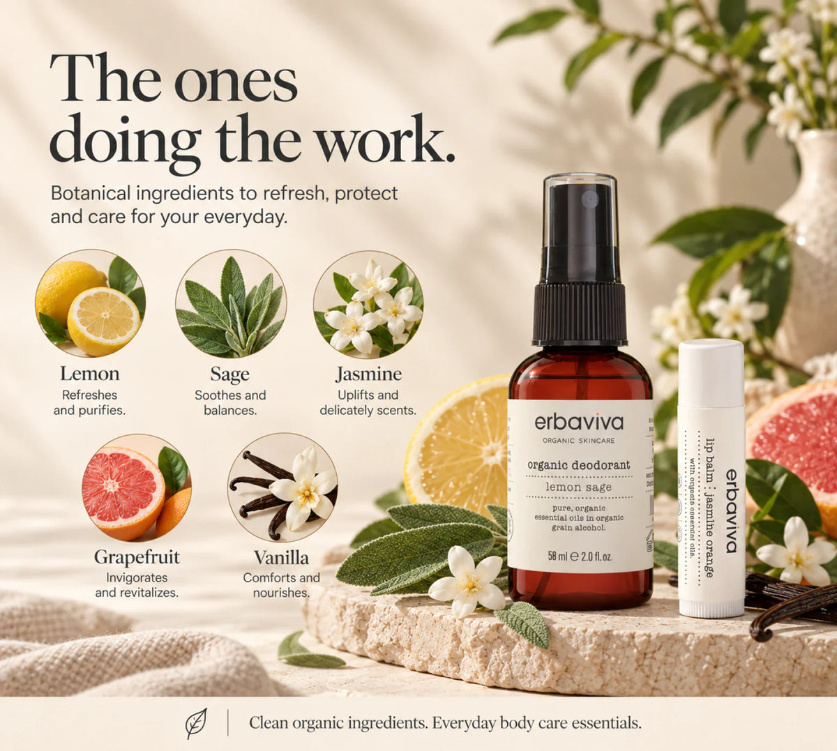 Organic Body Discovery Kit product gallery artwork, image 4 of 5