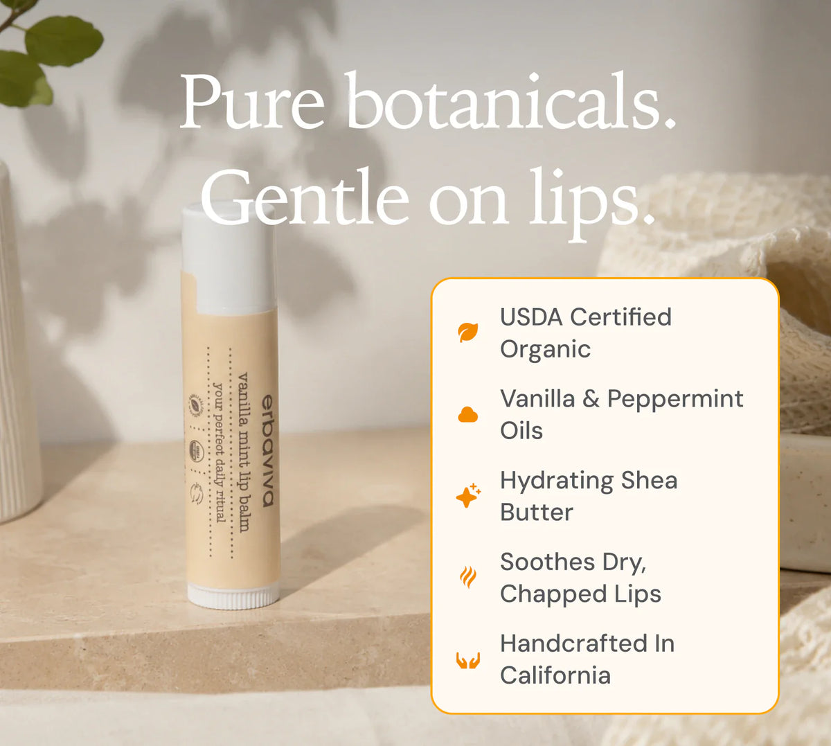 Vanilla Mint Lip Balm product gallery artwork, image 1 of 7